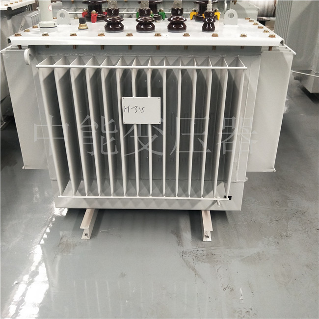 大兴安岭S20-1250KVA/10KV变压器