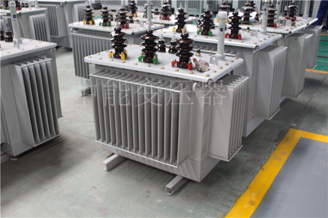 大兴安岭S22-100KVA/10KV/0.4KV变压器